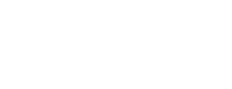 沸騰のロマネスカ